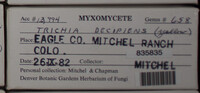 Image Associated With the Occurence